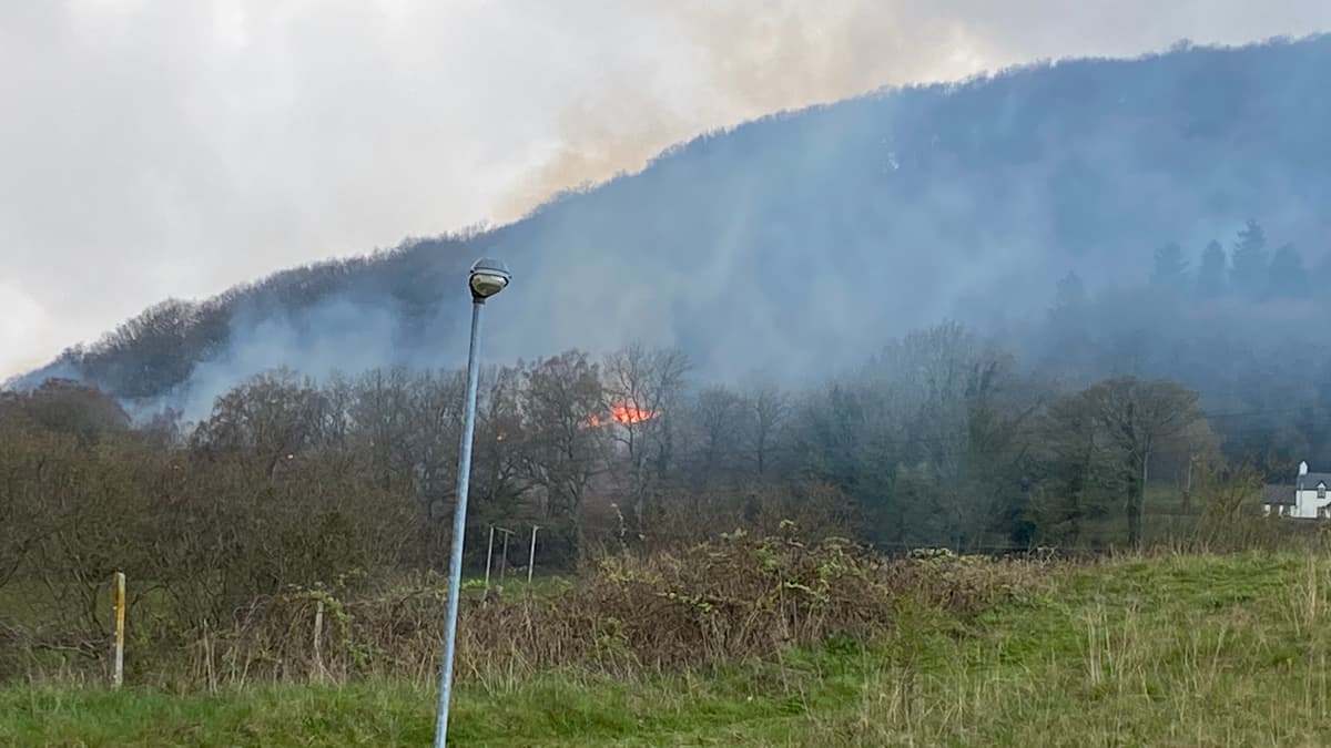 South Wales Fire and Rescue crews tackle blaze on the Deri above